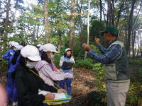森林学習６年生